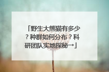 野生大熊猫有多少？种群如何分布？科研团队实地探秘→