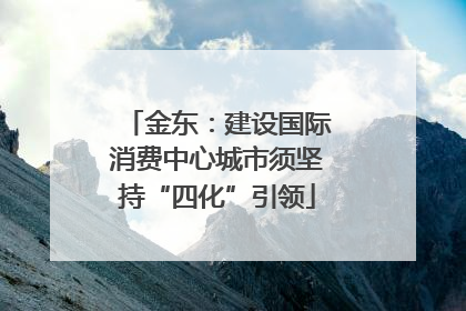 金东：建设国际消费中心城市须坚持“四化”引领