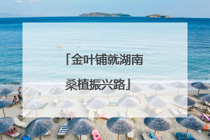 金叶铺就湖南桑植振兴路