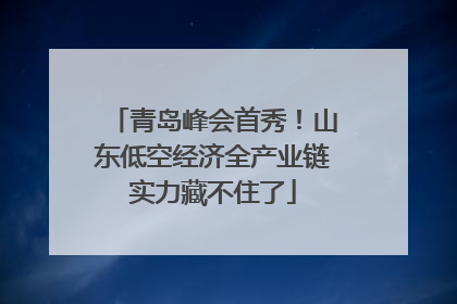 青岛峰会首秀！山东低空经济全产业链实力藏不住了