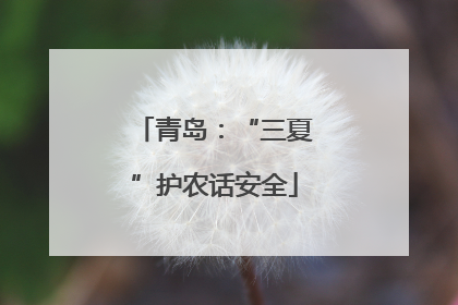 青岛：“三夏”护农话安全