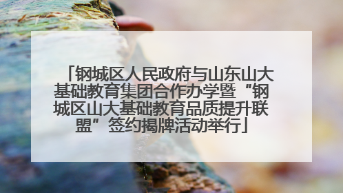 钢城区人民政府与山东山大基础教育集团合作办学暨“钢城区山大基础教育品质提升联盟”签约揭牌活动举行
