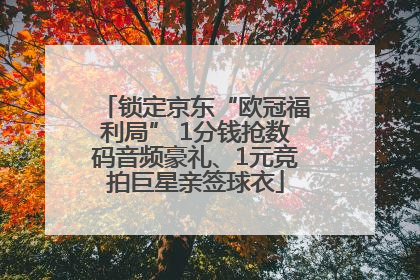 锁定京东“欧冠福利局” 1分钱抢数码音频豪礼、1元竞拍巨星亲签球衣
