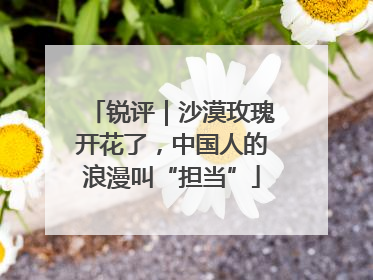 锐评｜沙漠玫瑰开花了，中国人的浪漫叫“担当”