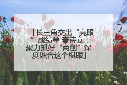 长三角交出“亮眼”成绩单 秦诗立：聚力抓好“两创”深度融合这个棋眼