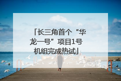 长三角首个“华龙一号”项目1号机组完成热试