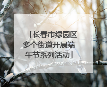 长春市绿园区多个街道开展端午节系列活动