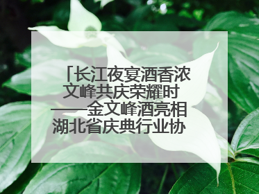 长江夜宴酒香浓 文峰共庆荣耀时——金文峰酒亮相湖北省庆典行业协会十周年盛典