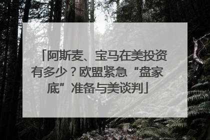 阿斯麦、宝马在美投资有多少？欧盟紧急“盘家底”准备与美谈判