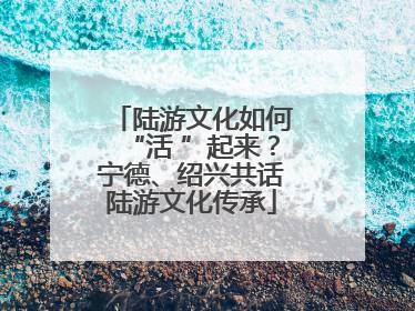 陆游文化如何“活 ”起来？宁德、绍兴共话陆游文化传承