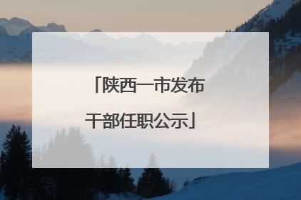 陕西一市发布干部任职公示