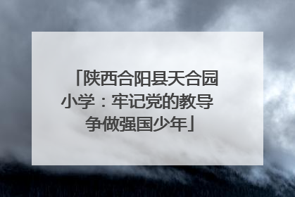 陕西合阳县天合园小学：牢记党的教导 争做强国少年