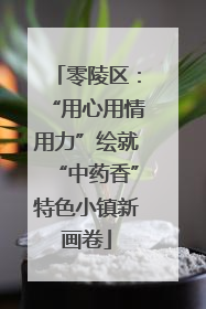 零陵区：“用心用情用力”绘就“中药香”特色小镇新画卷