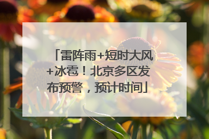 雷阵雨+短时大风+冰雹！北京多区发布预警，预计时间