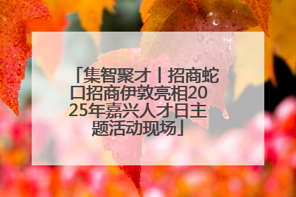 集智聚才丨招商蛇口招商伊敦亮相2025年嘉兴人才日主题活动现场