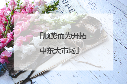 顺势而为开拓中东大市场