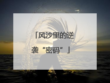 风沙里的逆袭“密码”
