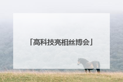 高科技亮相丝博会