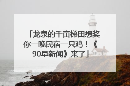 龙泉的千亩梯田想奖你一晚民宿一只鸡！《90早新闻》来了