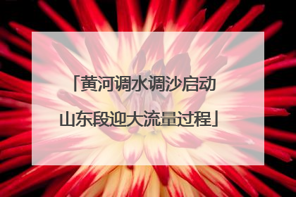 黄河调水调沙启动 山东段迎大流量过程