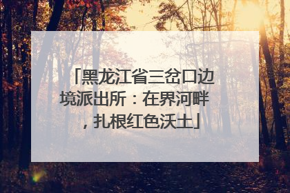 黑龙江省三岔口边境派出所：在界河畔，扎根红色沃土