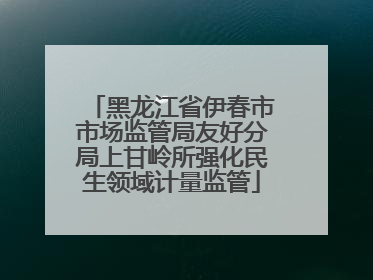 黑龙江省伊春市市场监管局友好分局上甘岭所强化民生领域计量监管