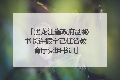 黑龙江省政府副秘书长许振宇已任省教育厅党组书记
