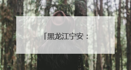 黑龙江宁安：案例库在综治中心“安了家”