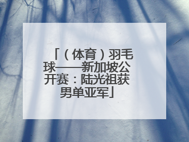 （体育）羽毛球——新加坡公开赛：陆光祖获男单亚军