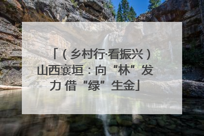 （乡村行·看振兴）山西襄垣：向“林”发力 借“绿”生金