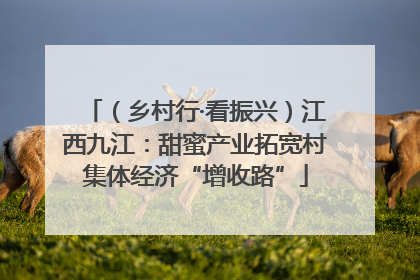 （乡村行·看振兴）江西九江：甜蜜产业拓宽村集体经济“增收路”