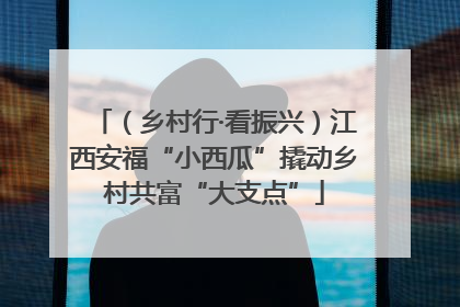 （乡村行·看振兴）江西安福“小西瓜”撬动乡村共富“大支点”