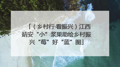 （乡村行·看振兴）江西靖安“小”浆果助绘乡村振兴“莓”好“蓝”图