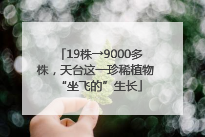 19株→9000多株，天台这一珍稀植物“坐飞的”生长