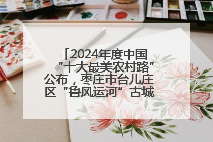 2024年度中国“十大最美农村路”公布，枣庄市台儿庄区“鲁风运河”古城文化廊道上榜！