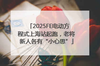 2025FE电动方程式上海站起跑，老将新人各有“小心思”