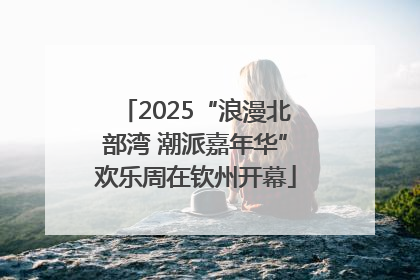 2025“浪漫北部湾 潮派嘉年华”欢乐周在钦州开幕