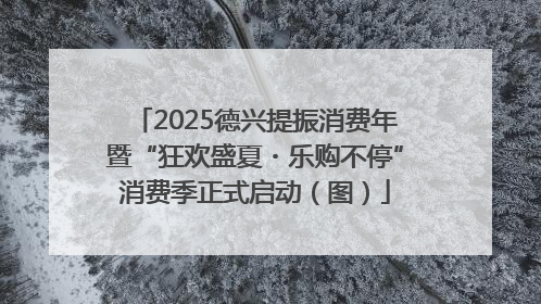 2025德兴提振消费年暨“狂欢盛夏・乐购不停”消费季正式启动（图）
