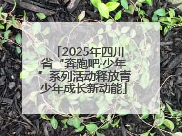 2025年四川省“奔跑吧·少年”系列活动释放青少年成长新动能