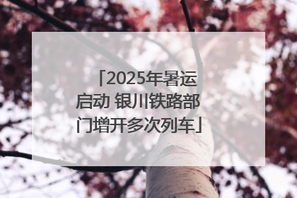 2025年暑运启动 银川铁路部门增开多次列车