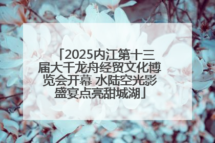 2025内江第十三届大千龙舟经贸文化博览会开幕 水陆空光影盛宴点亮甜城湖
