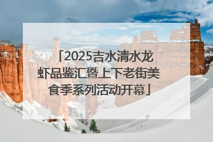 2025吉水清水龙虾品鉴汇暨上下老街美食季系列活动开幕