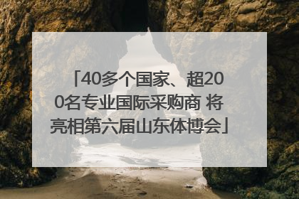 40多个国家、超200名专业国际采购商 将亮相第六届山东体博会
