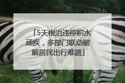 5天根治违停积水顽疾，多部门联动破解居民出行难题