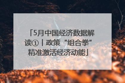 5月中国经济数据解读①丨政策“组合拳”精准激活经济动能