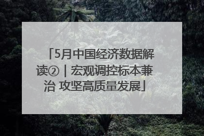 5月中国经济数据解读②｜宏观调控标本兼治 攻坚高质量发展