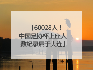 60028人！中国足协杯上座人数纪录属于大连