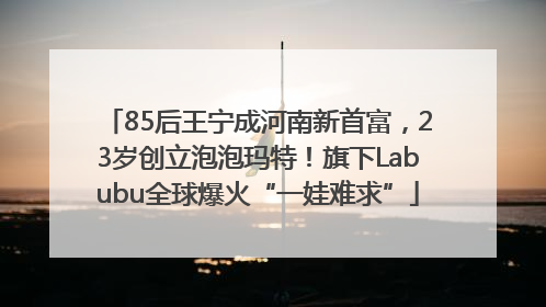 85后王宁成河南新首富，23岁创立泡泡玛特！旗下Labubu全球爆火“一娃难求”